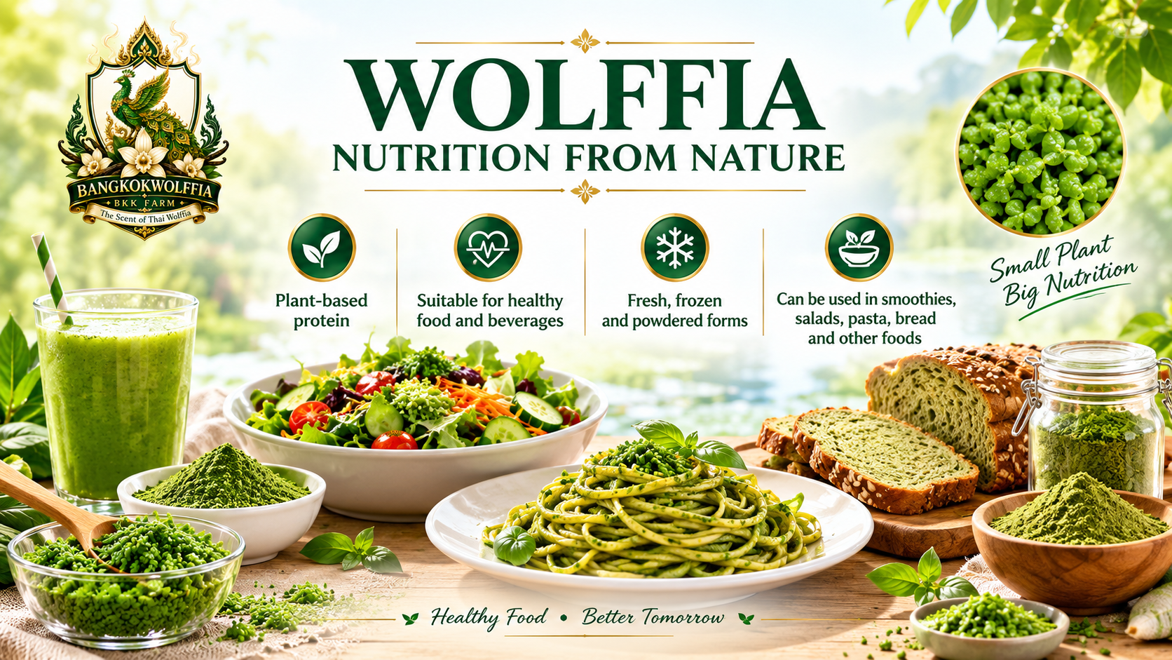 Bangkok Wolffia Farm 04